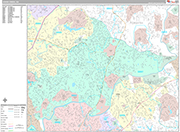 Johns Creek Wall Map Premium Style